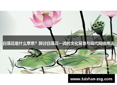 白莲花是什么意思？探讨白莲花一词的文化背景与现代网络用法